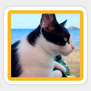 Cat on the Beach Sticker